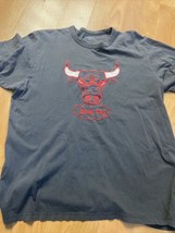 Rare Banner 47 Chicago Bulls Hand Crafted Logo Nba Shirt Size L - $19.80