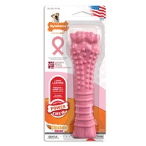 Nylabone Breast Cancer Awareness Pink Power Chew Textured Dog Toy Chicken 1ea/XL - £16.68 GBP