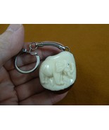 (TNE-ELE-481d) lucky white baby PACHYDERM TAGUA NUT Figurine KEYCHAIN key - $31.54 CAD