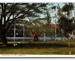 Codrington College Grounds Barbados WI UNP W L Johnson DB Postcard P20 - £5.64 GBP
