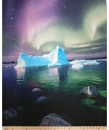 36&quot; X 44&quot; Panel Aurora Ice Northern Lights Icebergs Cotton Fabric Panel ... - €14,71 EUR
