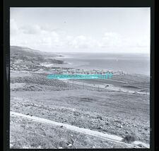 B &amp; W negative strip of 4 * 2 coastline views Pacifica? *2 big eucalyptu... - $8.00