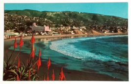 Laguna Beach Christmastime Aloes California CA Colourpicture UNP Postcard 1960s - $5.99
