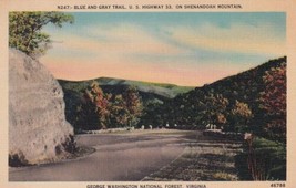 Blue and Gray Trail Shenandoah Mountain Virginia VA Postcard A03 - £2.38 GBP