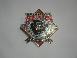 Little League Baseball Pins - 2009 BRIGHTON BEARS COLORADO - £11.76 GBP