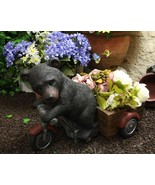 Large Rustic Black Bear Riding Tricycle Flowers Or Plants Planter Statue... - $2,214.58 MXN