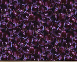 Cotton Farmers Market Fruit Black Cherries Fabric Print by the Yard D770.57 - $11.49