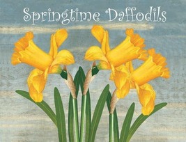 Springtime Daffodils Garden Flowers Nature Home Spring Metal Sign - $16.95