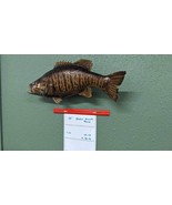 Beautiful Real Skin 19” Small Mouth Bass Taxidermy Wall Mount Art Wildlife - £275.25 GBP