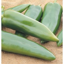 USA Seller Joe E Parker Pepper Seeds Fast Shipping - £9.56 GBP