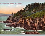 Point Lobos Shore View Monterey California CA UNP DB Postcard P13 - $4.90