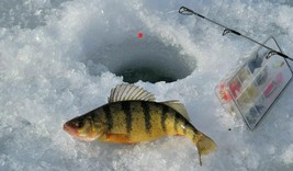 GARMIN STRIKER™ PLUS 4 ICE FISHING BUNDLE image 3