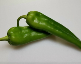 Easy To Grow Seed - 50 Seeds Chili Pepper Rattlesnake - £3.18 GBP