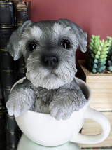 Realistic Grey Adorable Schnauzer Dog In Teacup Statue 5.75&quot; Tall Pet Pa... - $32.99