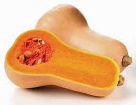 PWO Squash Seeds,Waltham Butternut Squash, Heirloom, 500 Seeds, Non Gmo - $13.79