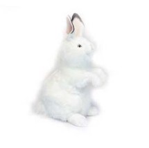 White Bunny 20&quot; (4538) - £47.88 GBP