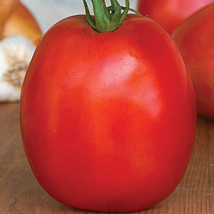 Tomato Supersauce Hybrid Seeds 100Pcs The Worlds Largest Sauce Tomato - $7.50