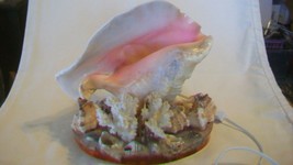 Conch Seashell Night Light with Many Other Shells on Clear Resin Base - $95.00