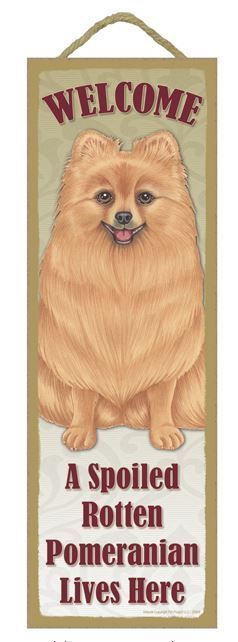 Spoiled Rotten Pomeranian Lives Here Sign 5" x 15" Plaque Gift pet dog - $14.95