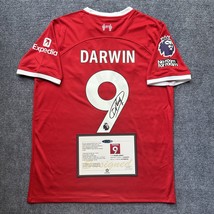 Darwin Núñez Nunez SIGNED Liverpool Signature Shirt/Jersey + COA 23/24 - £87.88 GBP