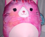 Squishmallows Claudelle the Multi-Pink Cat 12&quot; Plush NWT - £24.82 GBP