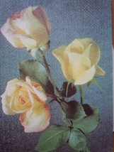 Mid Century Yellow Roses Get Well Card 1960s Unused - $1.99