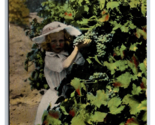 Little Girl Picking Grapes Vineyard Washington UNP Agriculture DB Postca... - $6.20