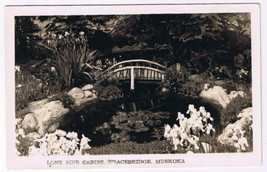 Postcard RPPC Bracebridge Ontario Muskoka Lone Pine Cabins - $12.46