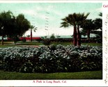 A Park In Long Beach California CA 1906 UDB Postcard C7 - $2.92