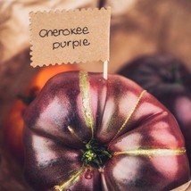 Cherokee Purple Tomato Seed Set (5) - Cultivate Juicy Heirloom Tomatoes,... - £2.76 GBP