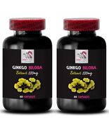 Leaf powder - GINKGO BILOBA EXTRACT - Cognitive enhancement ---- 2 B 120... - $28.22