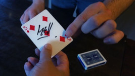 Item image 4