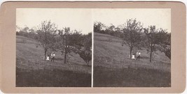 Gen. John Roberts Farm, Farmington NH #2 - Carlton-Boynton Family Stereo... - £13.98 GBP