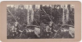 Girl Picking New Hampshire Blueberries - Carlton-Boynton Family Stereoview - £13.84 GBP