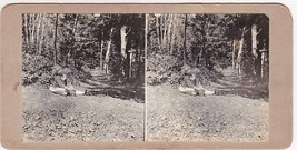 Girl with Berries Pail on Pumpkin Point, NH - Carlton-Boynton Family Stereoview - £13.91 GBP