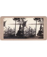 Pumpkin Point, NH View - Carlton-Boynton Family Stereoview - $329.84 MXN