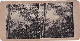 Pumpkin Point, NH North View - Carlton-Boynton Family Stereoview - $15.75