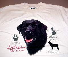 New! LABRADOR RETRIEVER - T SHIRT (L) - $12.95