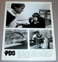 APE SIGNING &amp; BOTTLE-NOSE DOLPHIN - NOVA PBS TV Photo - $14.95