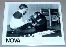 CHIMPANZEE TATU SIGNING LANGUAGE - PBS TV Promo Photo - £11.95 GBP