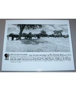 ELEPHANTS IN MASAI MARA KENYA - PBS TV Promo Photo - $284.15 MXN