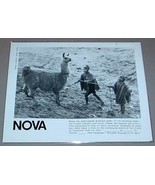 Q&#39;EROS INDIANS LLAMA PERU PERUVIAN ANDES - PBS TV Photo - $284.15 MXN