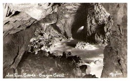 Sea Lion Caves Oregon Rppc   Christian #317 - £11.60 GBP