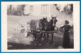 Young Woman Holding Horse Cart Pre 1920 Rppc Postcard - £11.75 GBP