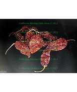 50 Whole Dried Ghost Pepper Insanely HOT! Over 1 Million SHU!!! Hardwood Smoked - $21.50