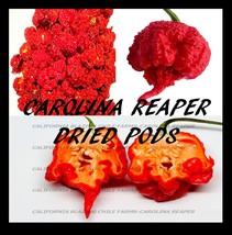 Organic Carolina Reaper Dried Whole Pepper Pods *Hottest Peppers in the World* - £2.63 GBP+