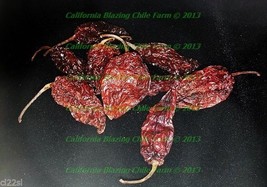 25 Whole Dried Ghost Pepper Insanely HOT! FIERY AND PAINFUL - $15.50