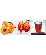 ORGANIC CAROLINA REAPER/ MORUGA/ SCORPION/ GHOST PEPPER JAM-DANGEROUSLY ... - $18.50 CAD+
