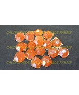 Trinidad Scorpion Pepper Tear Drop Candy ~ Organic Peppers w/ variety of Flavors - £3.71 GBP - £6.84 GBP