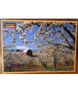 PEAR ORCHARD  In The Hood River Valley 500 Piece Jigsaw Puzzle 1999&quot; Ros... - $24.97 CAD